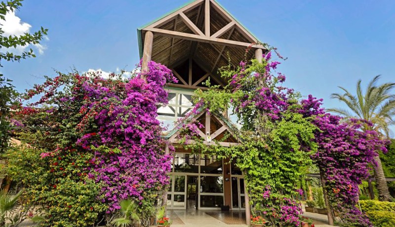Thumbnail Minerva Club Resort Golf & SPA